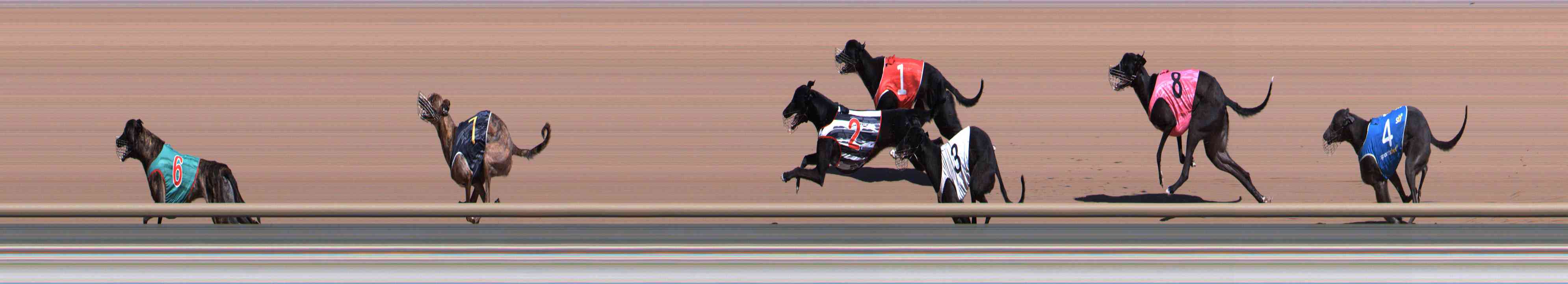 Race result finish photo